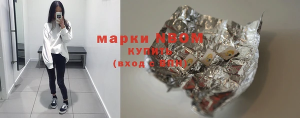 хмурый Алексин