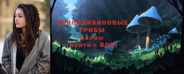 дурь Алзамай