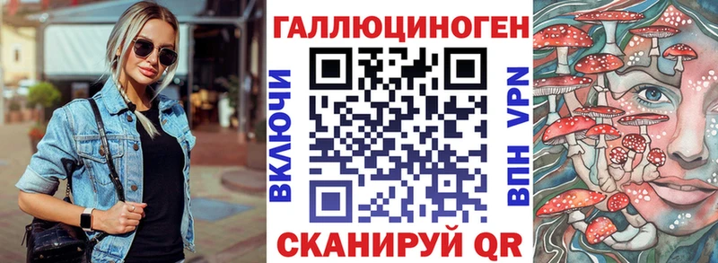 Псилоцибиновые грибы Cubensis  Заозёрный 
